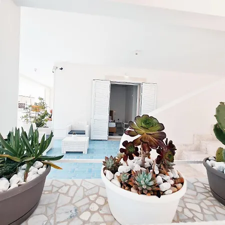 Kalinifta 토레 라필로